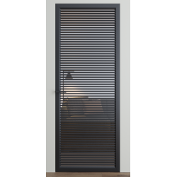 Міжкімнатні двері Dooris "DOORIS GLASS" DG10