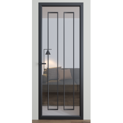 Міжкімнатні двері Dooris "DOORIS GLASS" DG6