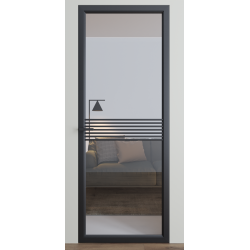 Міжкімнатні двері Dooris "DOORIS GLASS" DG3