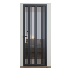Міжкімнатні двері Dooris "DOORIS GLASS" DG11