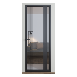 Міжкімнатні двері Dooris "DOORIS GLASS" DG9